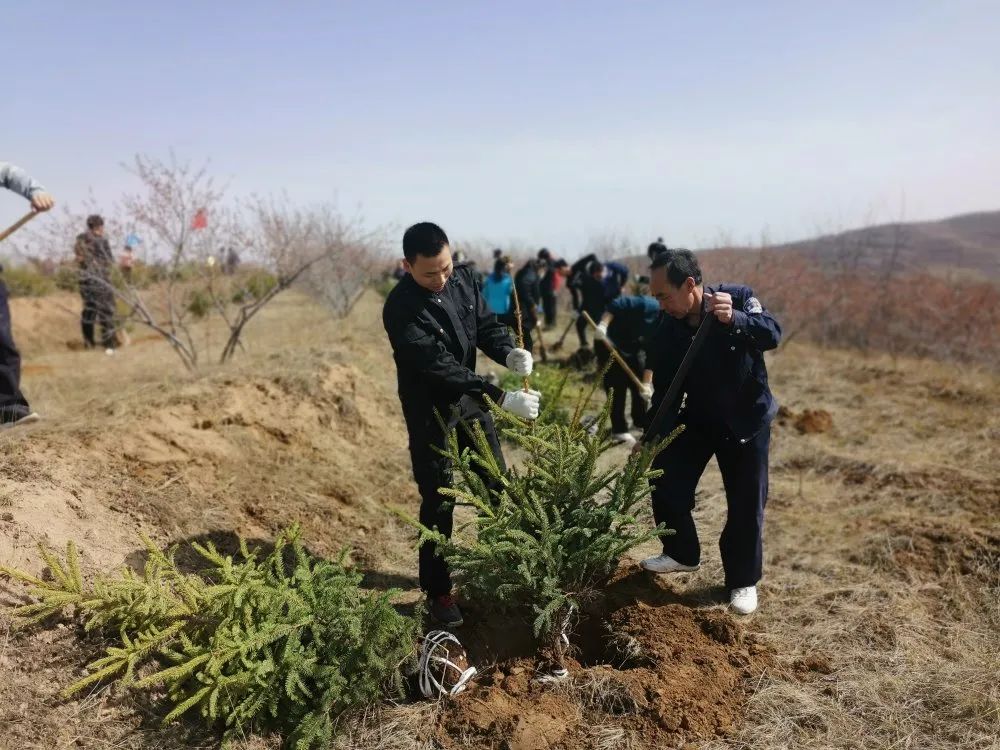 【我为群众办实事】植树添新绿 不负好春光——隆德法院积极开展义务植树活动 澎湃号·政务 澎湃新闻 The Paper