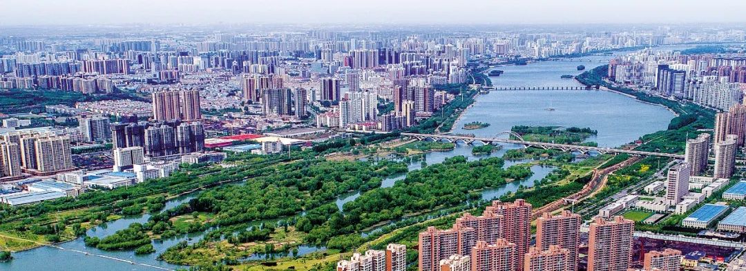 赵莉同志任高新区自贸区洛阳片区党工委书记管委会副主任