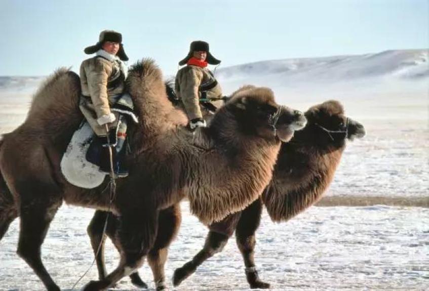 久保田博二在中国拍摄_澎湃号·湃客_澎湃新闻-the paper