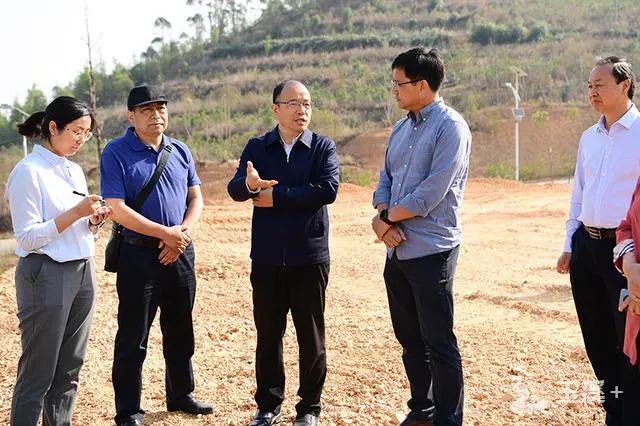 督察整改进行时 | 玉溪市市长张德华现场督办群众举报投诉生态环境