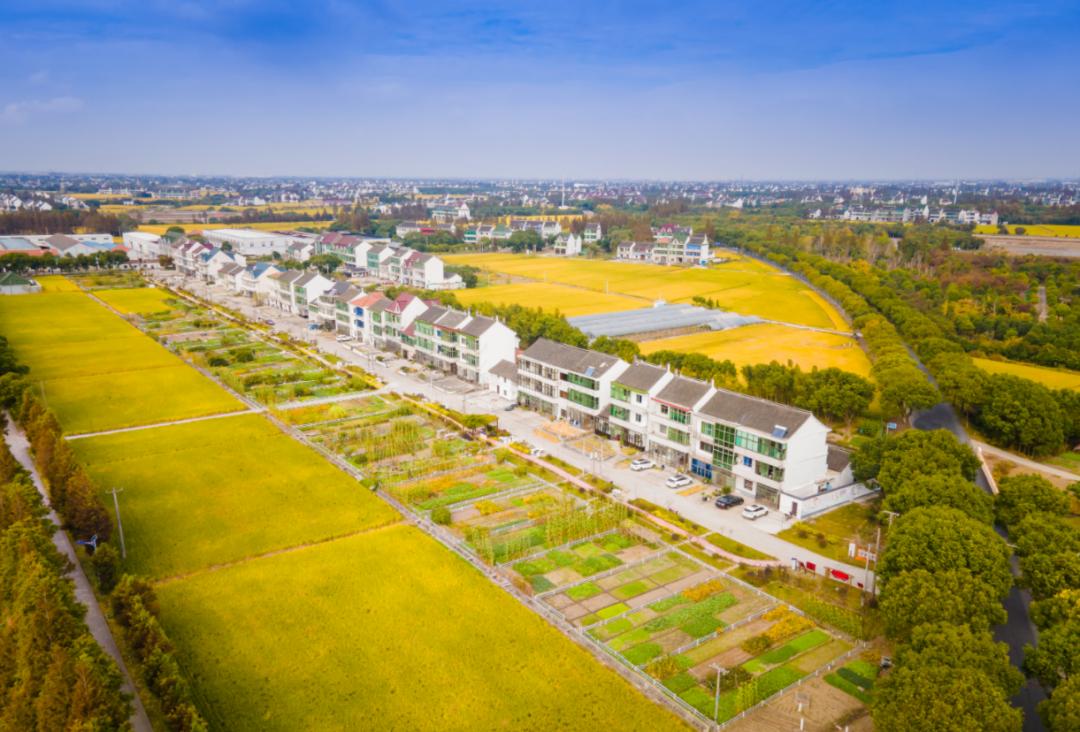 金山这个镇将打造"八景十园"!