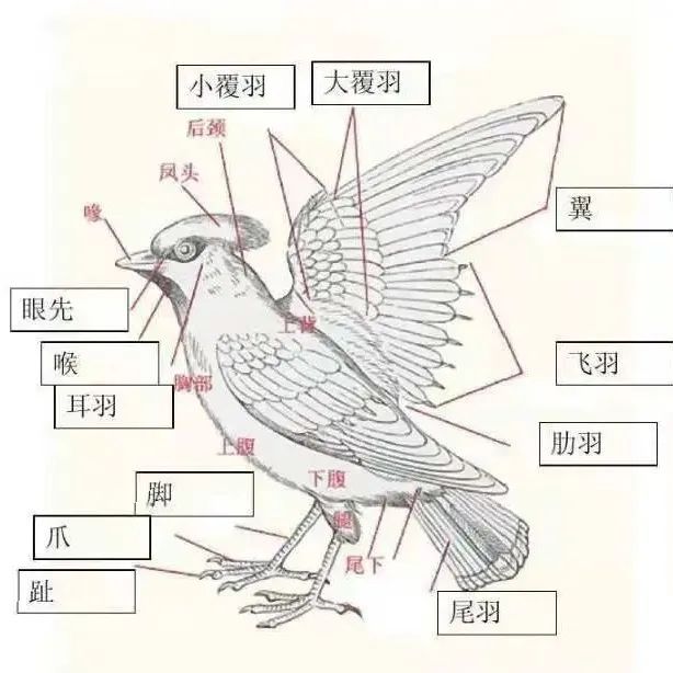 澎湃号·政务_澎湃新闻-the paper