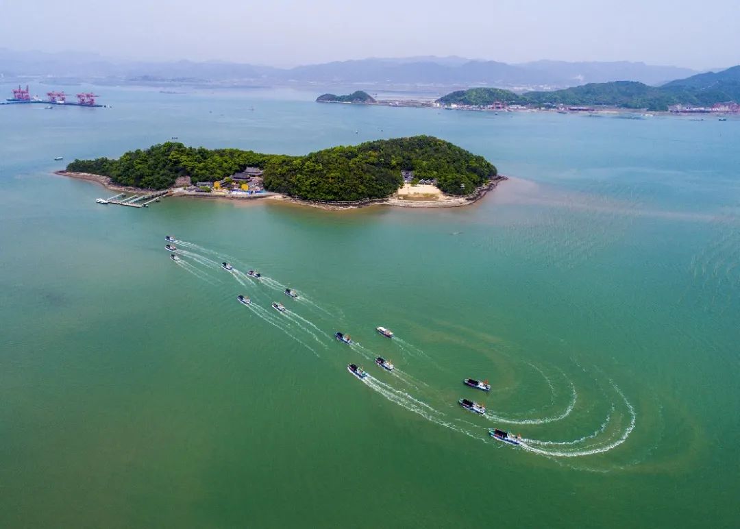 央视美丽家园聚焦强蛟美丽城镇建设