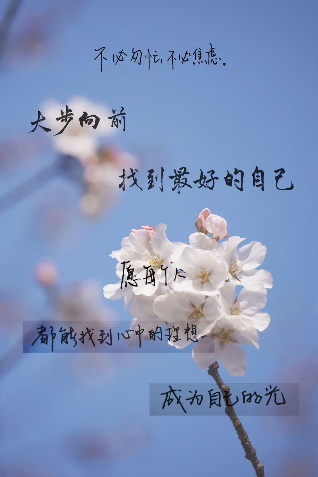 都将在骄阳似火的六月绽放光芒那些看似波澜不惊的日复一日向着光的