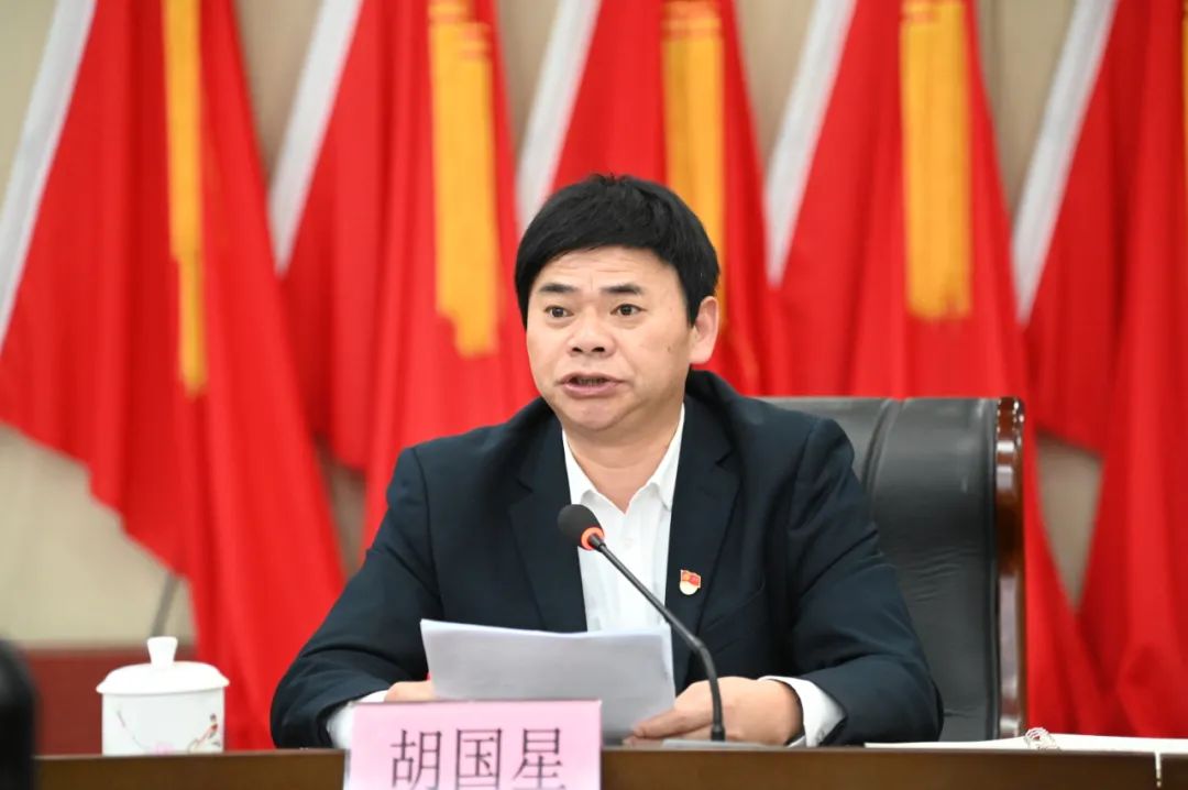 会上,陈韬,胡国星,魏维新分别作了宣传,统战,组织工作报告,全面总结了