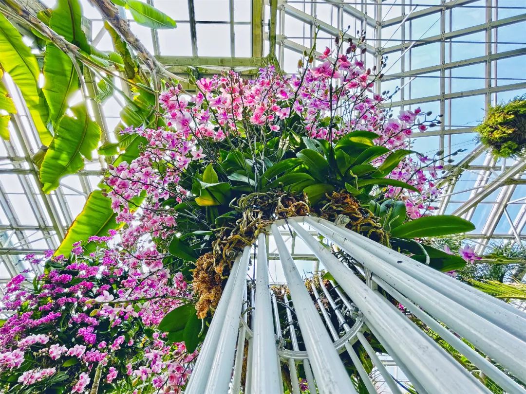 有趣的温室 一位游客的展览观后感 有趣的温室 一位游客的展览观后感