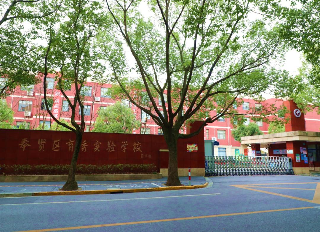 各具特色南桥地区7所小学6所九年制学校一览