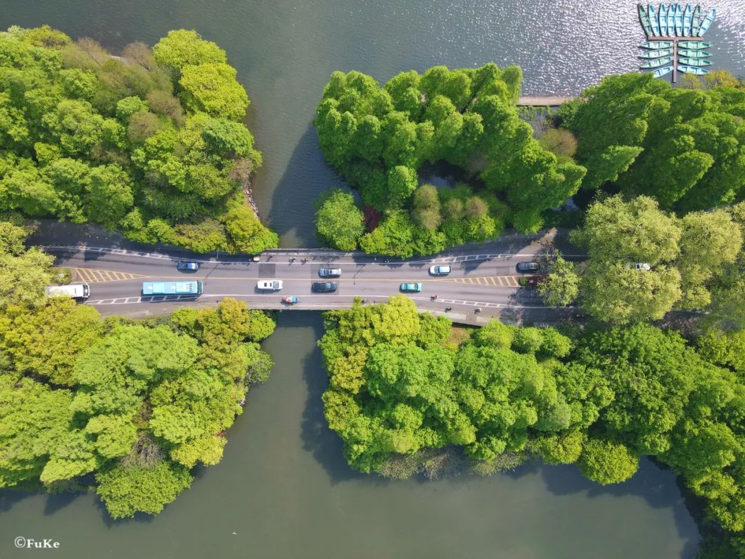未来多天晴暖周四开始天气变化这个春天植物界的大熊猫值得你奔赴而来