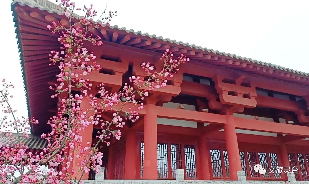 春日游灵台这份攻略送给你