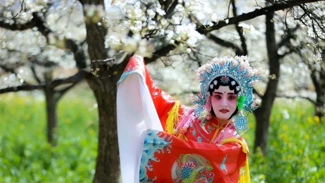 "大唐贵妃"穿越三十铺梨园,翩翩演绎《梨花颂》!