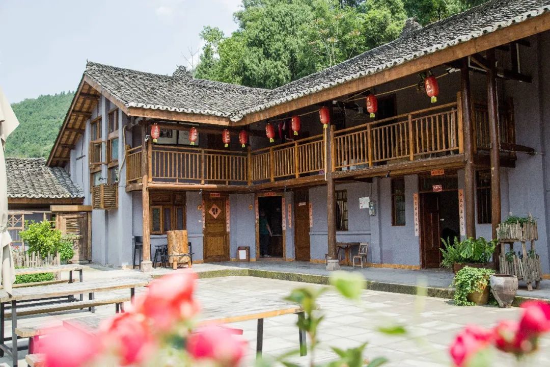 少女心满满南充这里超美蔷薇已上线快来打卡吧