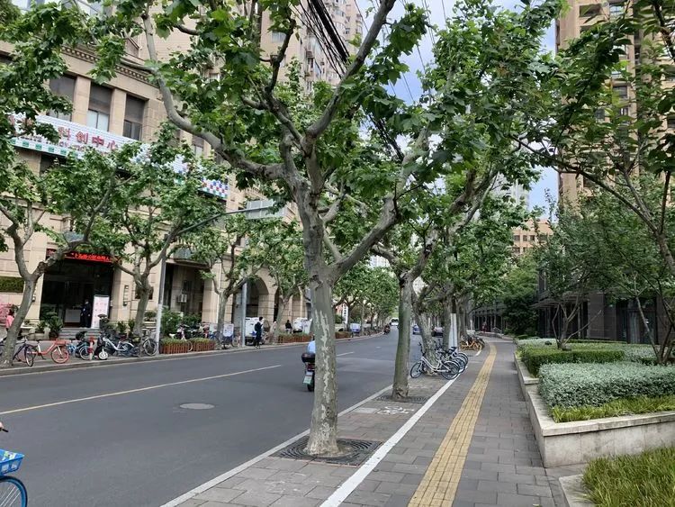 齐子林(摄于2020年5月7日上午)昌平路,康定路街景诉上海老底子情叙