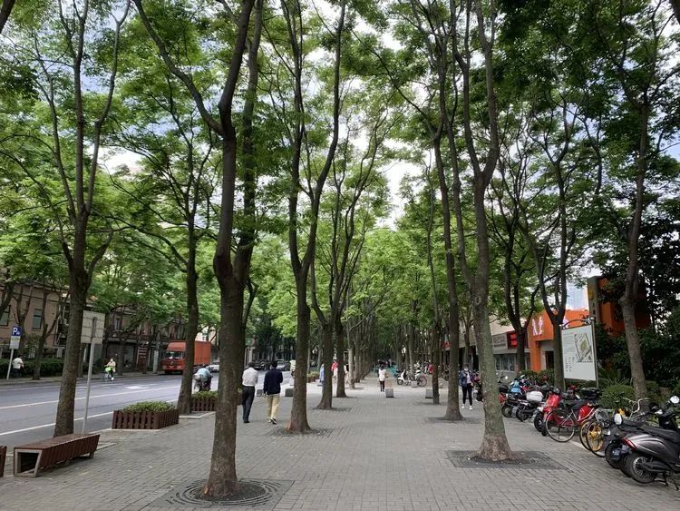 齐子林(摄于2020年5月7日上午)昌平路,康定路街景诉上海老底子情叙