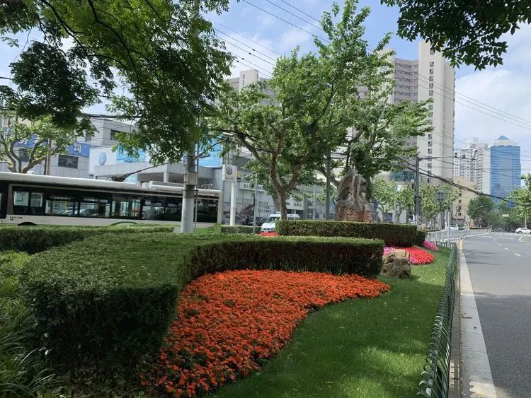 昌平路康定路街景