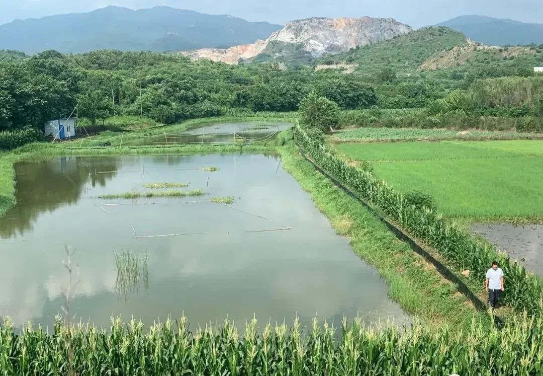 孝昌小河鎮產業發展激發經濟活力