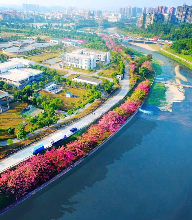 绿色发展示范案例85国家生态文明建设示范区广东省深圳市龙华区