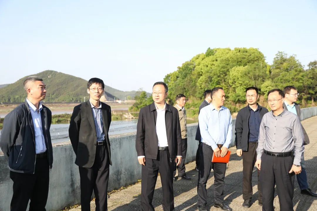 陈晨督查文明城市创建工作