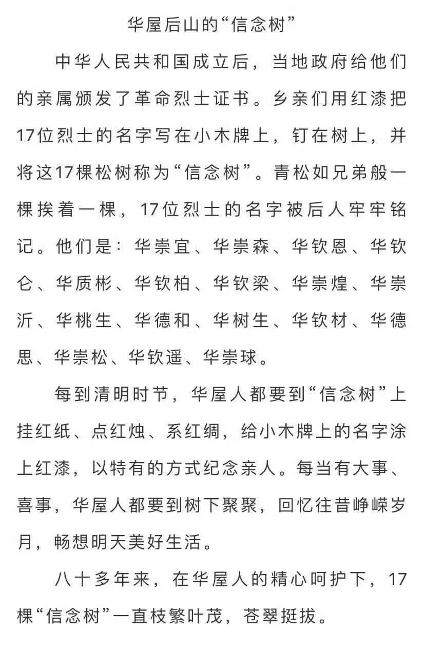 有人"光荣"了,就照看好这些松树——参军前相约种下十七棵"信念树"