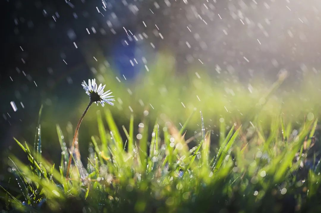 晚新闻｜降温10℃+雨！明天会很冷秋衣秋裤备好；事发河北！个人信息泄露黑链条