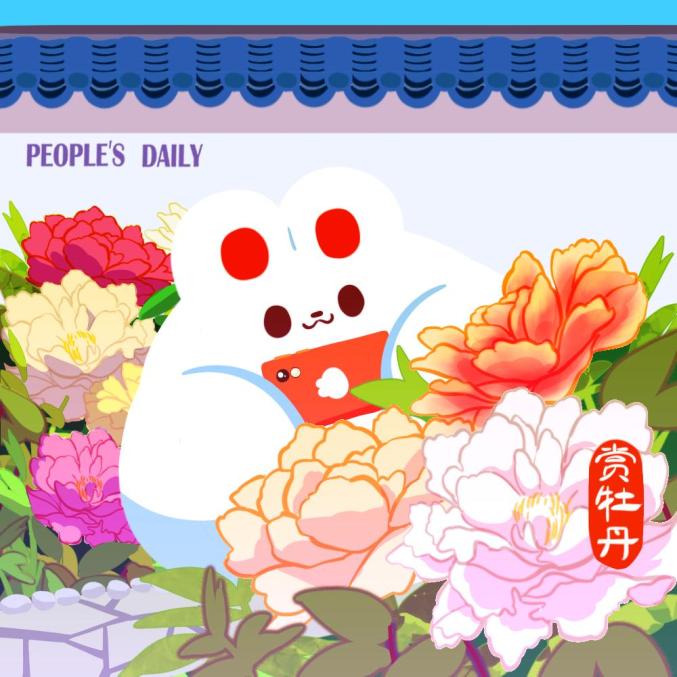 今日谷雨_澎湃号·政务_澎湃新闻-The Paper