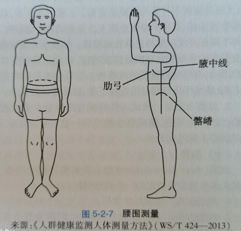 腋中线第五肋间位置图图片