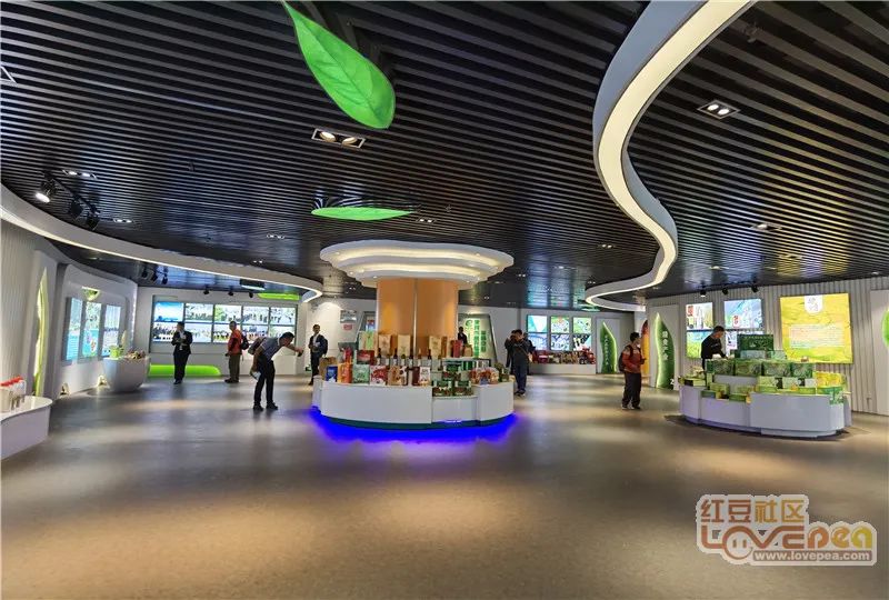 人工智能,构建完备数字农业产业生态,打造广西的涉农数据信息集散地