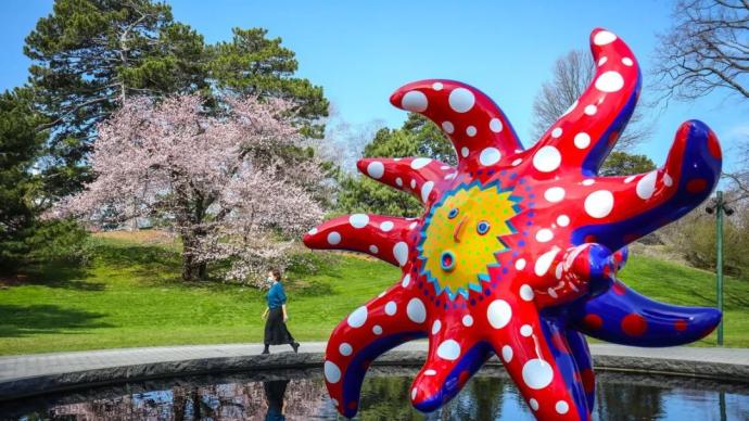 当日本艺术家草间弥生“邂逅”纽约植物园