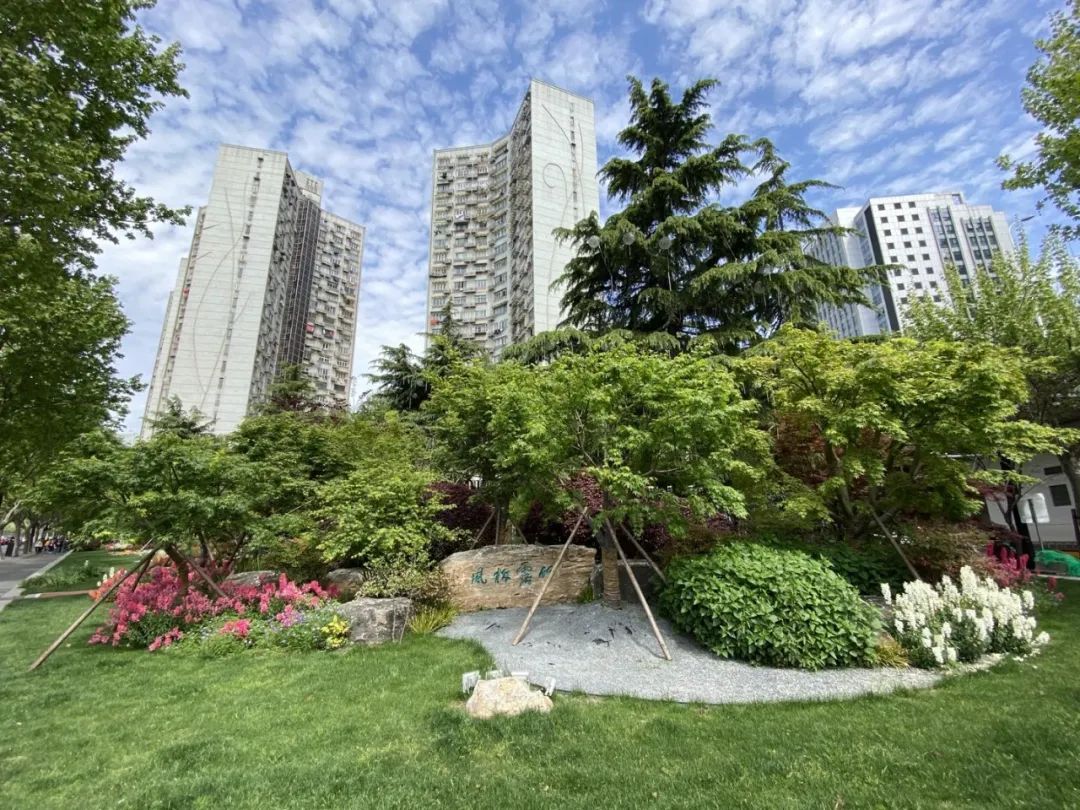 长宁街角的新美景这个街心花园改造完成咯