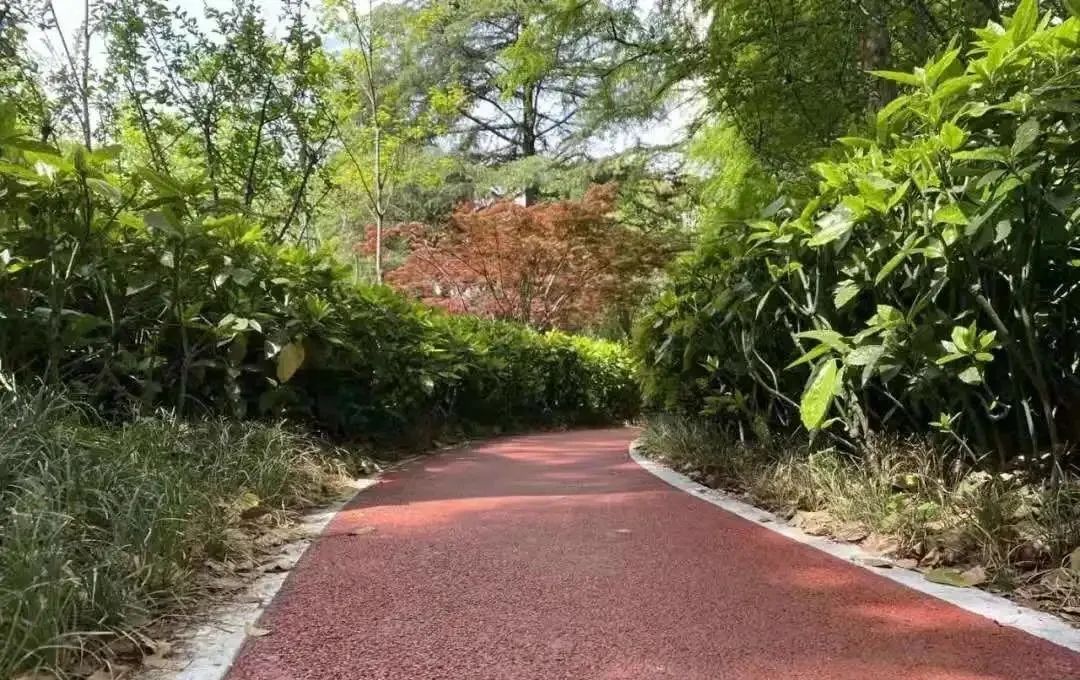 長寧街角的新美景,這個街心花園改造完成咯