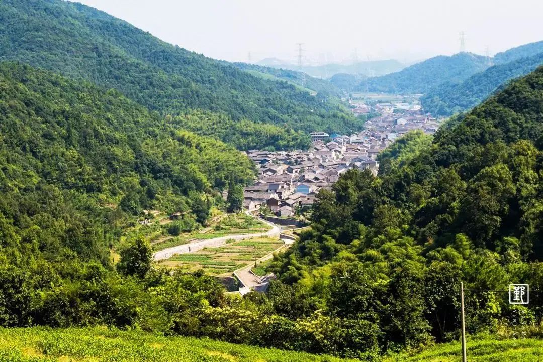 抗战时期,建岙村成了革命根据地之一,寻芝岭古道也因此成了当时