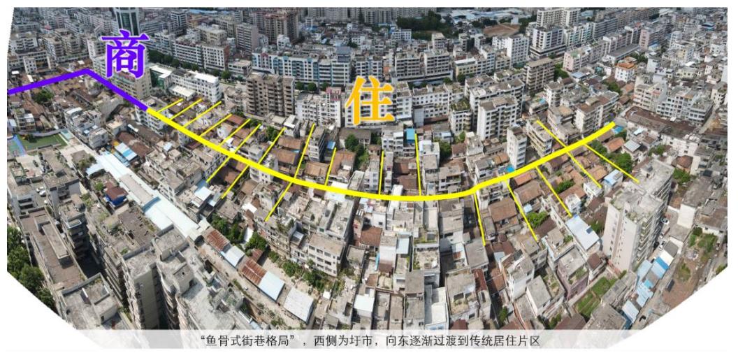 定了！肇庆这4个历史文化街区，被省看上了！
