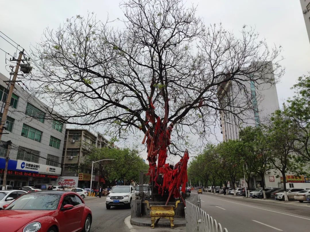 济宁古槐路交通疏解项目正式开工,预计8月底主路通车