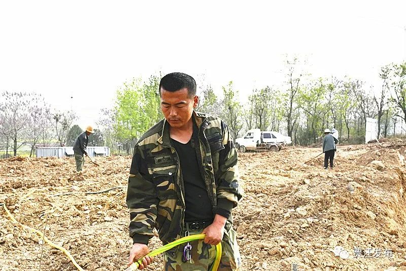 榛园村电视剧图片