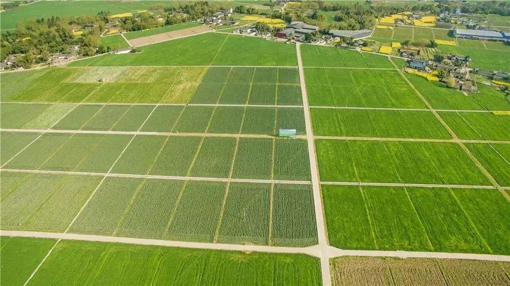 2021年建设1亿亩高标准农田怎么建好管好这里瞧