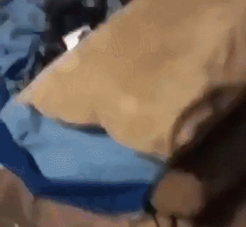 493_455gif 动态图 动图