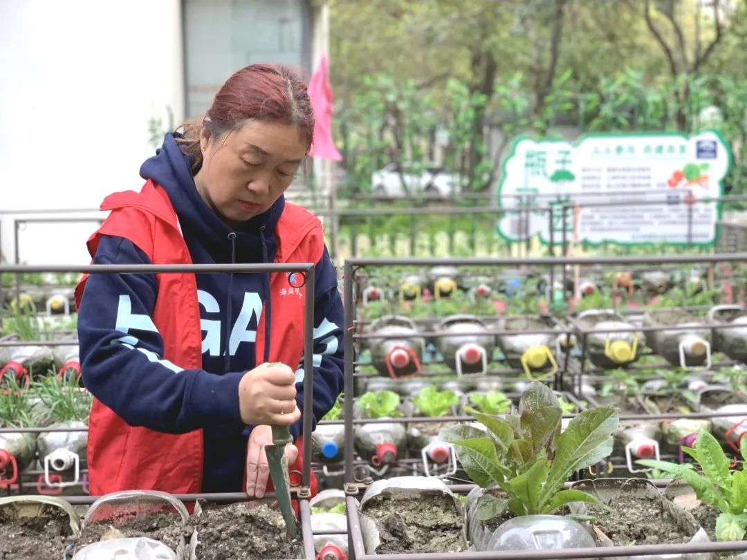 小菜園大舞臺寶山這個社區的瓶子菜園帶來和諧鄰里情