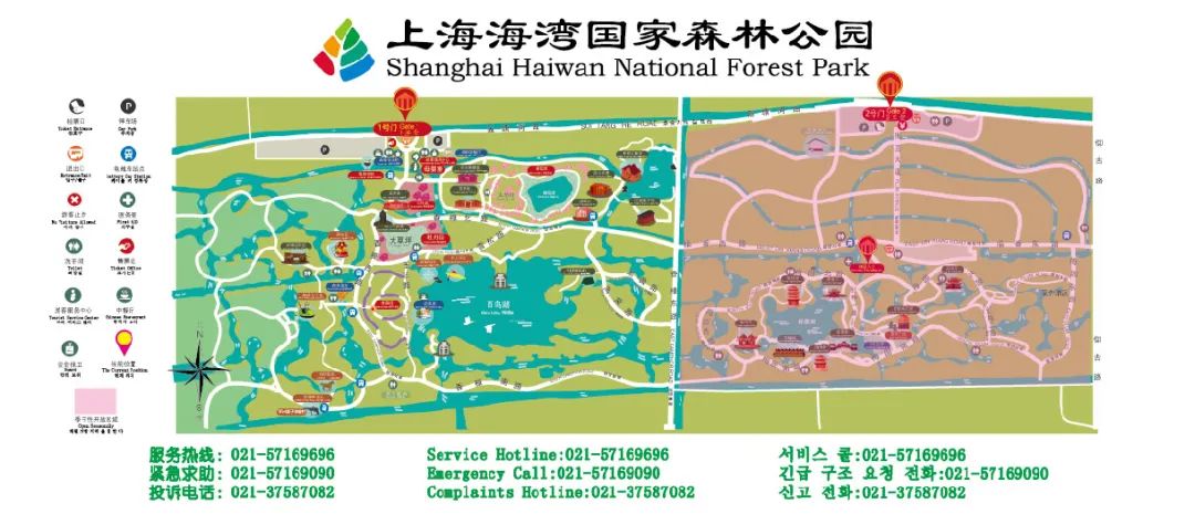 踏青出游去哪儿玩赏花骑车划船就来海湾国家森林公园