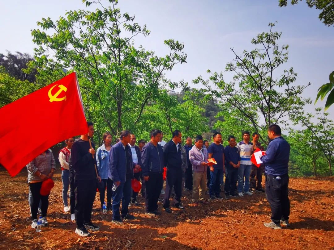 党史学习教育巍山县青华乡点将台前学党史