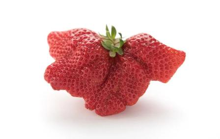 奇形怪状的草莓图片