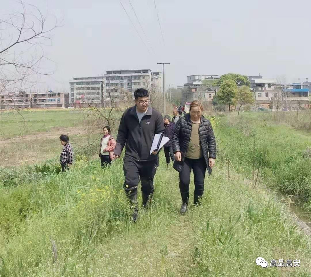 品牌高安建設標兵丁旦海歸農民的大米夢想