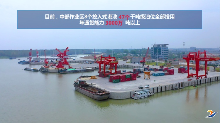 河南周口与上港集团洽谈对接开创豫沪港企合作新局面