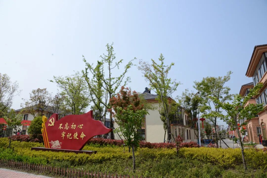 绿染的建湖:风景这边独好