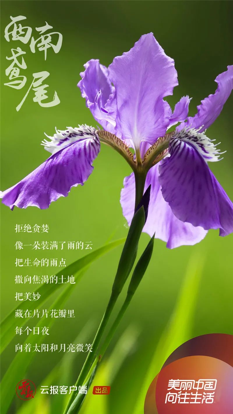 风景有着万千种美我们赖以生存的地球花鸟鱼虫兽山水林田湖草一荣俱荣