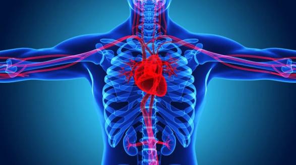 人人生来有套房心脏