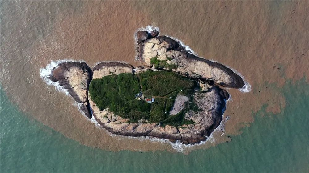 韭山列岛新一轮"神话之鸟"招引保育启动!驻岛首日,2只"先头部队"落地