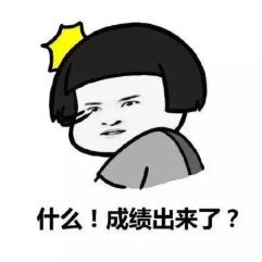 网页已恢复!贵州广东法商专修学院省考成绩可以查询了