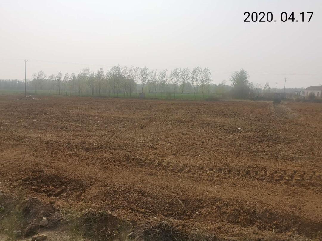 我为群众办实事土地复垦还大地一抹绿