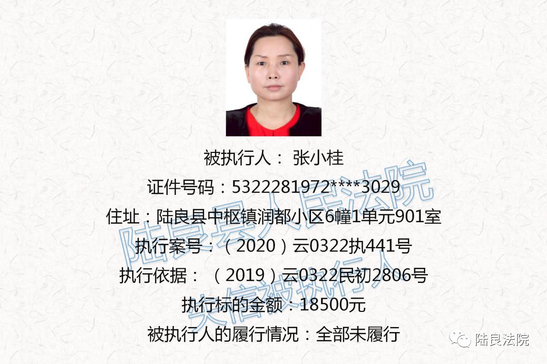曝光台陆良县人民法院失信被执行人名单第十七期