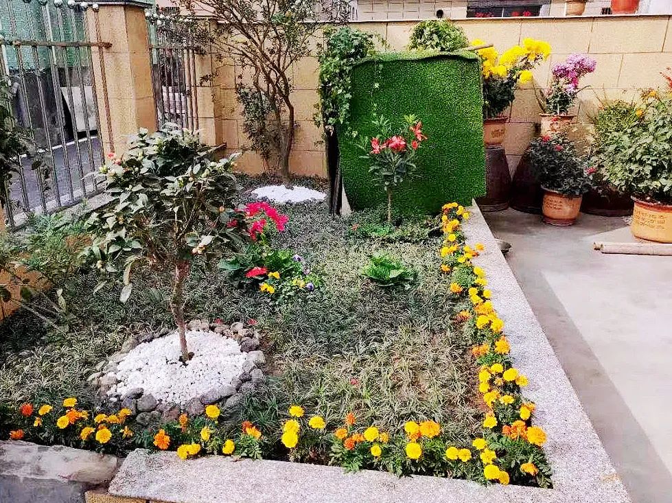 【萧姐妹美丽家园】美丽庭院助力美丽乡村,一院一景点亮美丽生活!