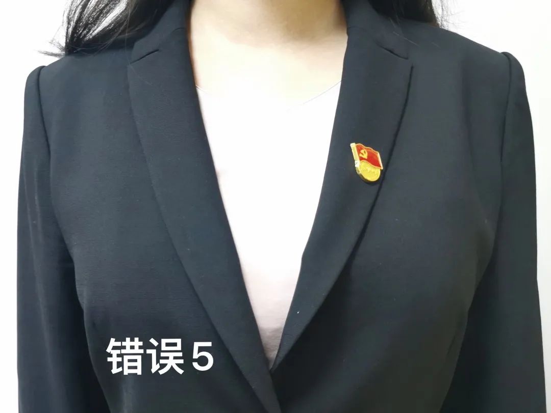 胸前佩戴的党徽样式图片